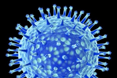 Nhân loại đứng trước hiểm họa virus cúm mới